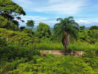 Hermoso lote con vista a la montaña y potencial para vista al mar