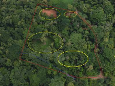 Oasis en la jungla con vista al río cerca de Dominical: 5.2 acres de naturaleza pura