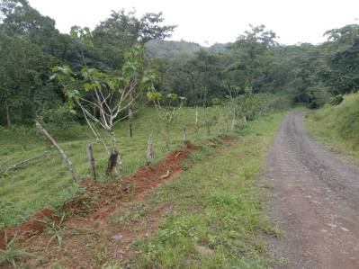 6.5 hectare farm in Bijagual de Turrubares – Ideal for agriculture, livestock or tourism
