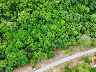 Lotes en venta en Tawal: excelente oportunidad comercial y residencial