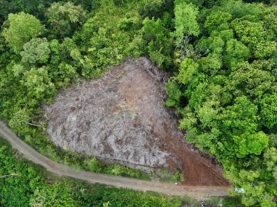 Impresionantes vistas al mar y montaña: lote con la mejor relación calidad-precio cerca de Quepos