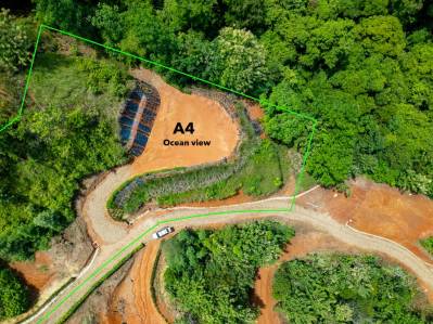 Nuevo desarrollo privado en Matapalo: vista al mar y terreno plano, listo para construir!