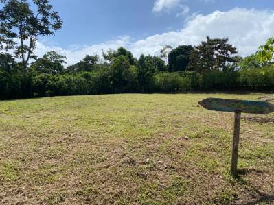 VENTA DE TERRENO DE 1.572 m² EN PEÑAS BLANCAS, SAN RAMÓN DE ALAJUELA