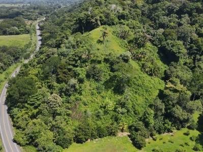 Introducing Diamond Point, Your Ocean View Oasis In Dominical, Costa Rica