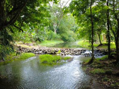 FOR SALE: BEAUTIFUL STATE IN HORQUETAS DE SARAPIQUÍ, COSTA RICA