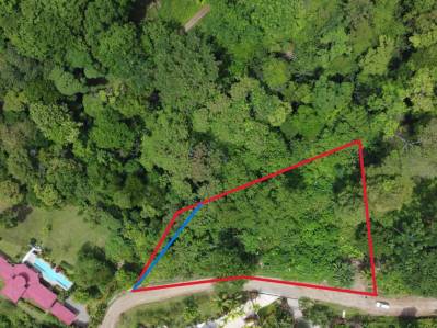 Lote  listo para construir en la jungla, con brisas marinas en el corredor de vida silvestre