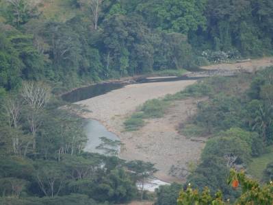 FINCA AGROFORESTAL PREMIUM CON TECA, NACIENTES Y POTENCIAL DE PRODUCCIÓN DE VAINILLA