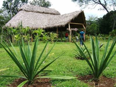 Solevida Farm Orotina