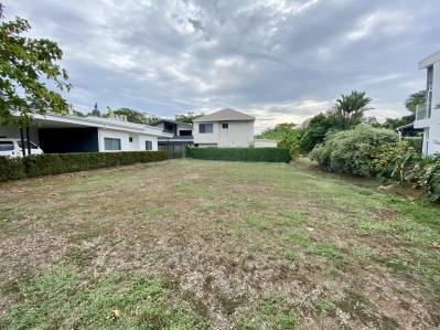 Lote En Bambú De 300 M2, Punta Leona