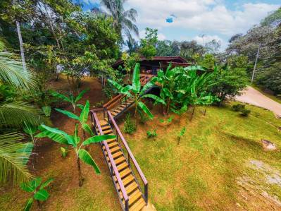 Serene Jungle Home + Guest Cabin on 3 Acres and River