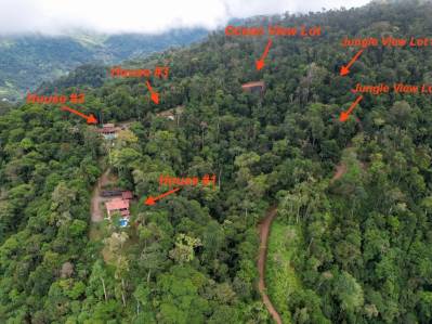 Whale’s Tail View Property for Sale: The Ultimate Family Compound