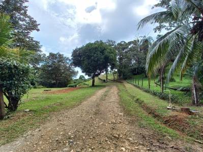 Terreno totalmente utilizable de 1,8 acres con vista parcial al mar, ideal para desarrollo