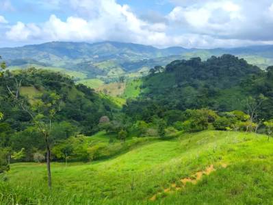 Finca de 6 Hectáreas en Venta – Ideal para Agricultura y Desarrollo Productivo en Carara