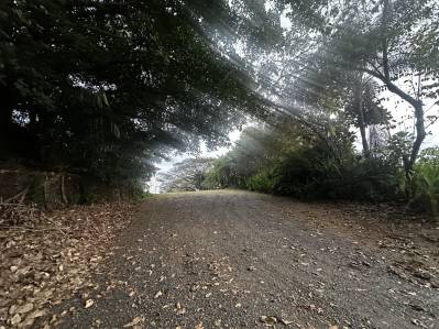 For Sale: Prime Lot in Esterillos Oeste- Investment Opportunity