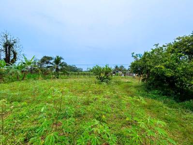 Land for Sale in Roxana, Pococí