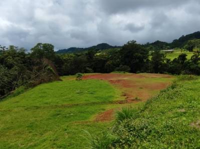 Land with River and Paved Access in Bijagual – Ideal for a Country House or Cabin