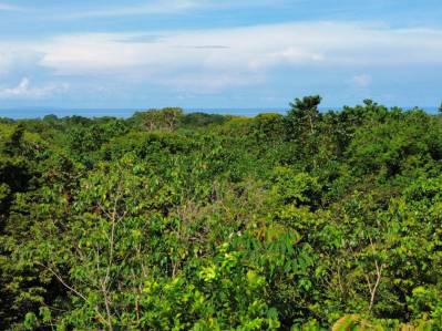Lote con vVistas a la isla Caño y al océano, planos de construcción aprobados