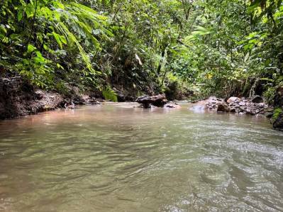 Pine & Marínon Wood Farm – San Vito / 7 Colinas