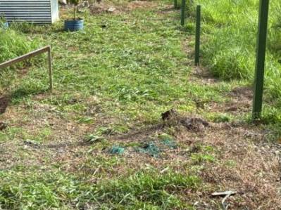 Lote de lujo listo para construir en Quepos: ¡Tu visión tropical comienza aquí!