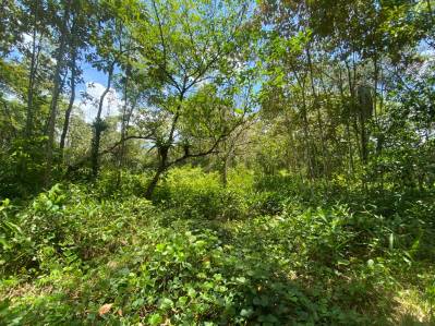 Lote de 2.86ac listo para construir en Ojochal.