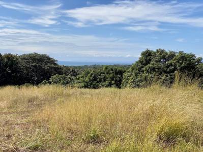 Finca De Mangos En Lagunillas, 8 Ha, Acceso Por Carretera Comercial, Con Algo De Vista Al Mar.