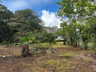 Lote para construir a 20 minutos de San Isidro con Árboles Frutales y Vistas