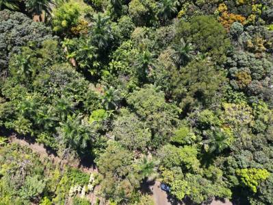 Lote para desarrollo cerca del INCAE en Garita de Alajuela | Zona de alta proyección