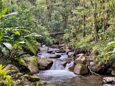 Reserva Biológica Bosque Privado De 386 Ha Y Pequeño Lodge, En El Bosque Nuboso De Sarchí