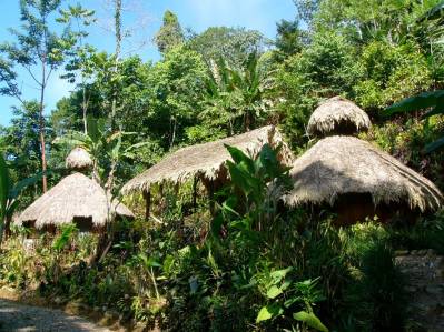 Off The Grid Total 32 Ha Compuesto para su desafío en la jungla