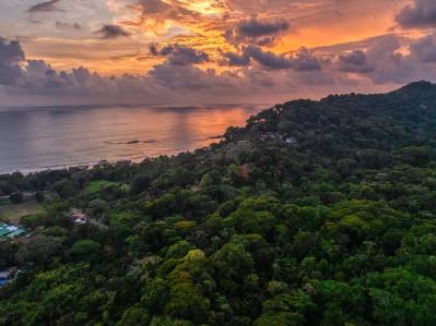 One of a kind Ocean View Commercial Walk to beach Property