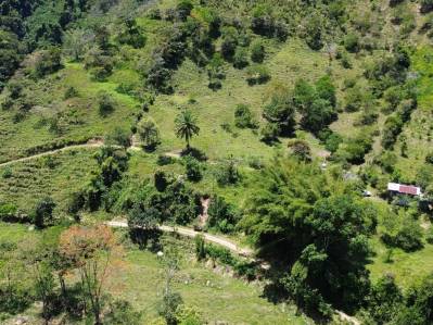 Finca de 12 hectáreas en Tayutic de Turrialba