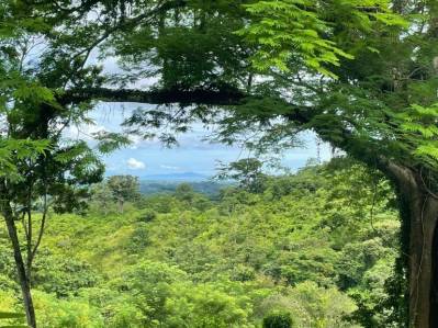 1-Hectare Lots Near La Cruz – Privacy, Kitesurf, Nature & Beautiful Scenery