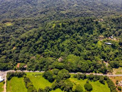 60-Acre Ocean View Development Property for Sale in Dominical, Costa Rica