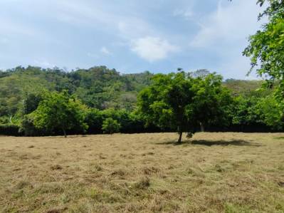 Fire Sale in Playa Hermosa – 4,004 m² of Flat Land with Privacy on Conga Street