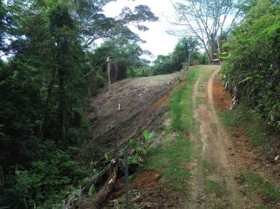 Santuario privado en la jungla
