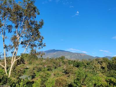 🌿Terreno de 4.531 m² con Casa y Vista al Volcán Turrialba🔥