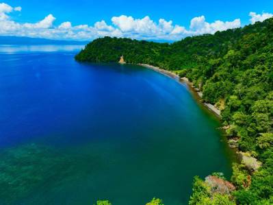 90 Hectares Waterfront Jungle Farm with Private Beach – Golfito, Costa Rica