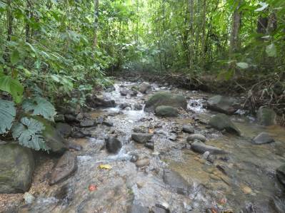 Lote privado en la jungla de Caracara Ridge, bordeado por un río Lote n.° 15