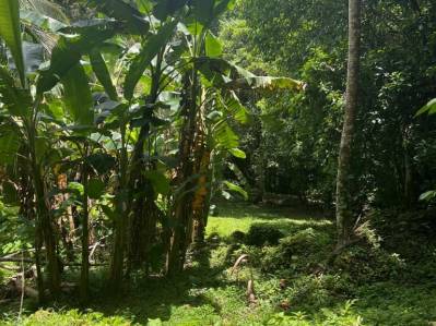 Tu pedazo de paraÍso cerca de Cahuita & el Parque Nacional