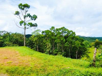 Corner lot for sale – Carara, across from the Bijagual (Waterfalls) entrance