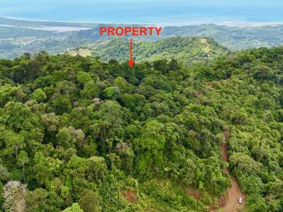 Santuario de selva tropical prístina de 100 acres a 3.000 pies sobre Ojochal, Costa Rica