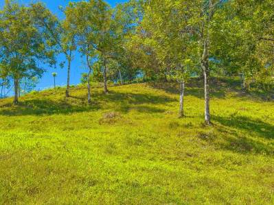 Lot for Sale in BallenaViews – 3,453 m² (0.85 Acres) – Ojochal, Costa Rica