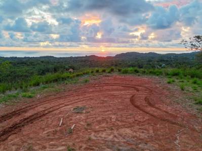 Spectacular Jungle Estate Property with Panoramic Ocean Views