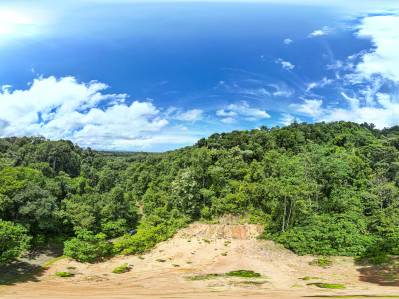 Tierra del Ceibo, Lote #8, Santuario Privado -3.7 acres