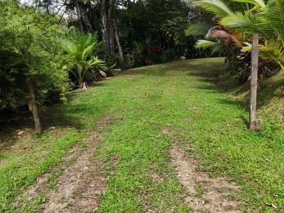 Lote en Ojochal listo para construir con agua, electricidad y entorno privado legales