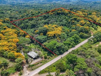 The HOTTEST Costanera-Bordering Lot in Our Area