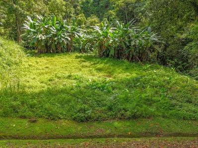 Gran terreno en la selva en venta en Ojochal, Costa Rica