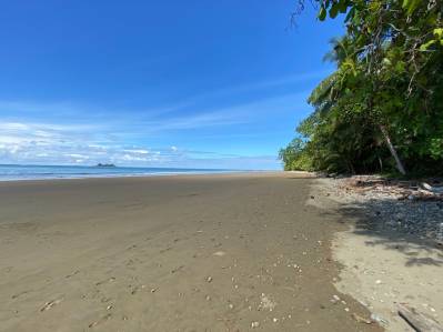 Exclusive Beachfront Property, With 5 Titled Lots Ready To Build & Private Beach Access!