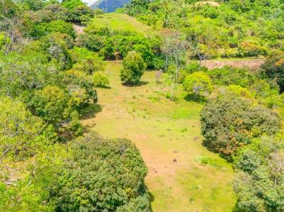 Lot for Sale – 3,165 m² (0.78 Acres) – Ojochal, Costa Rica