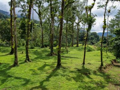 Oasis aislado de 4,5 hectáreas frente al río cerca de Hatillo y Dominical – Dos Bocas, Costa Rica
